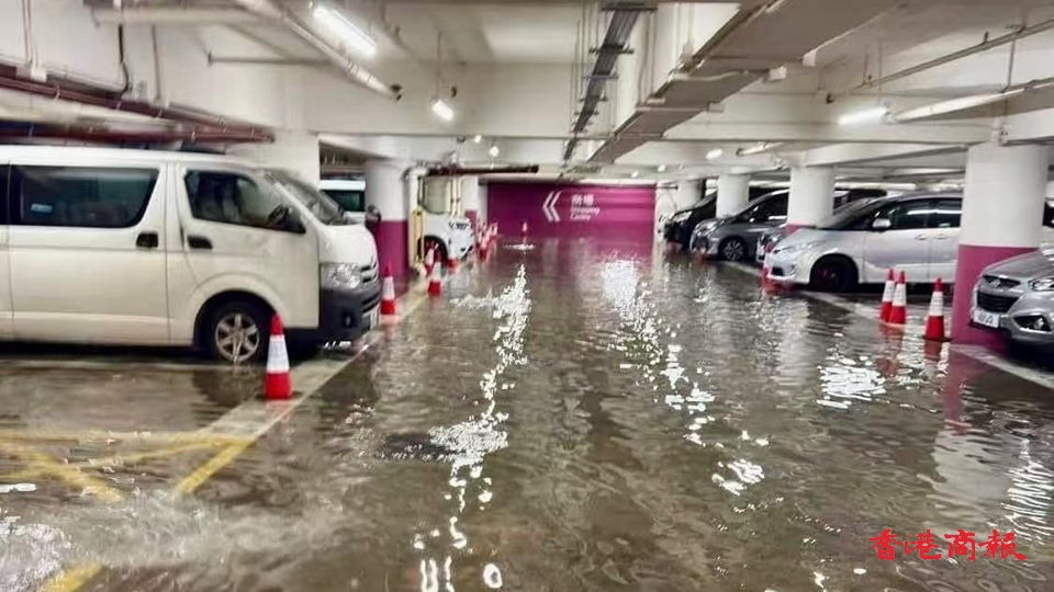 圖片新聞｜黑雨下本港多處出現水浸