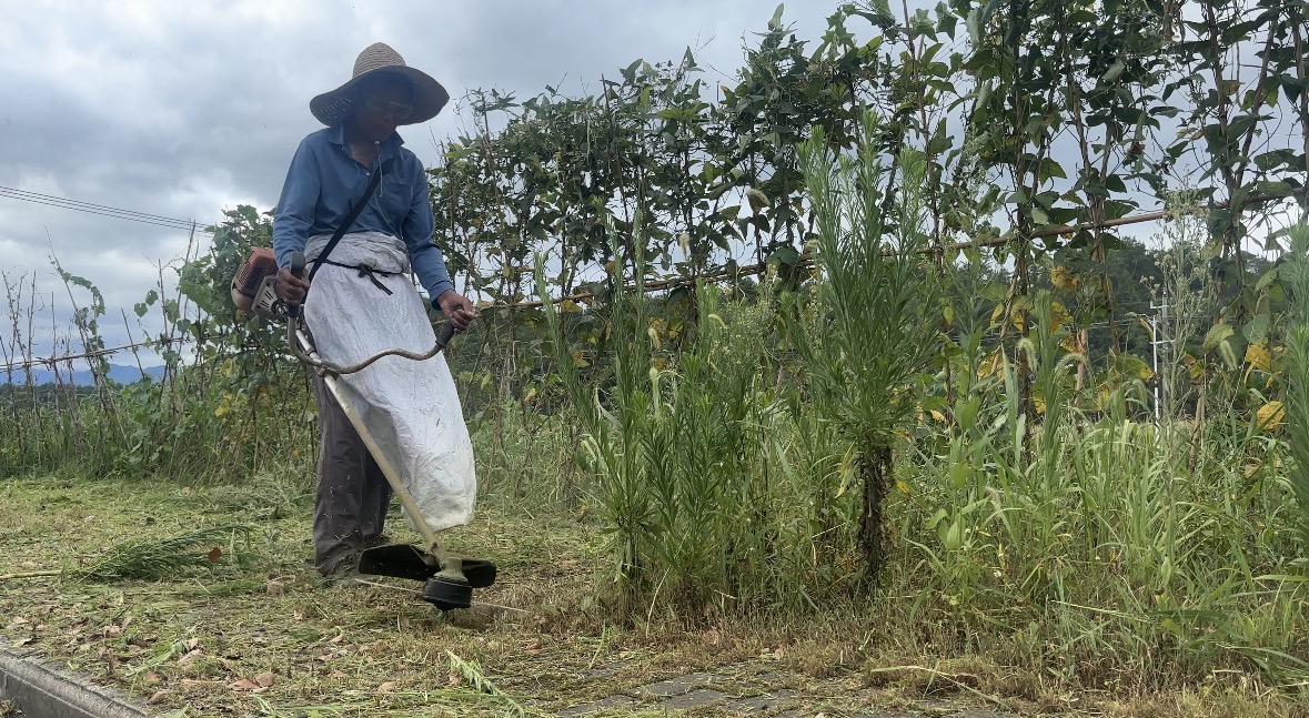 梳理節點長效管護 皖屯溪城郊環境整治「久久為功」