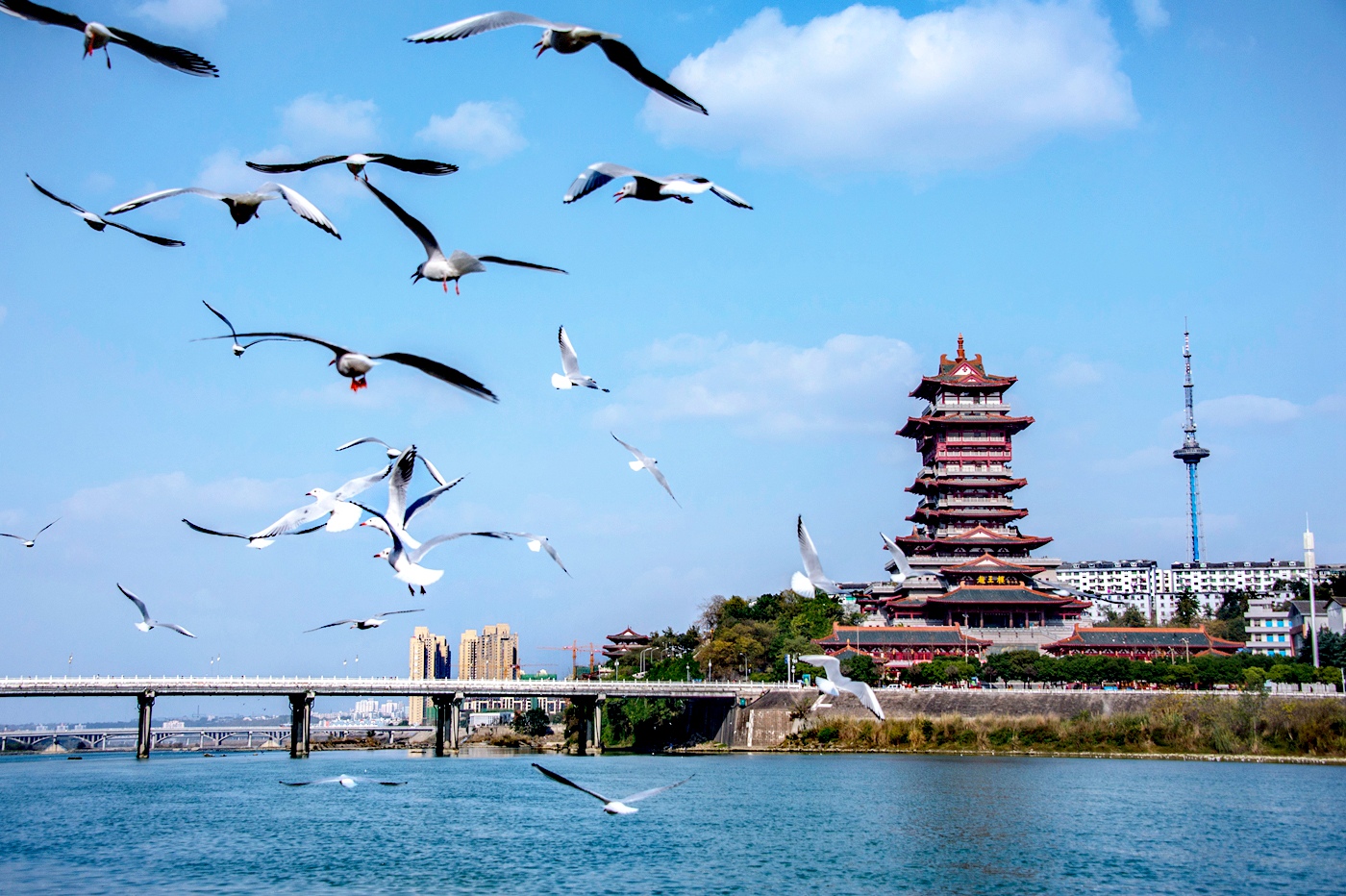 四川綿陽遊仙：以作風建設「組合拳」激發乾事創業「全動力」