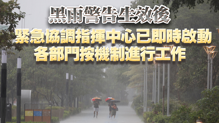 陳國基：當局應對極端天氣的機制行之有效