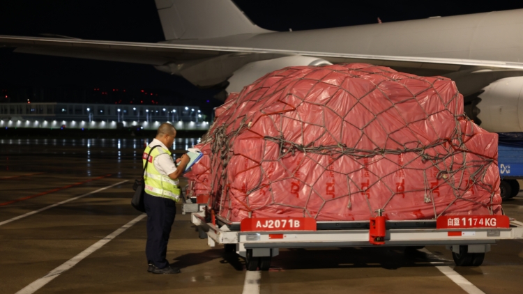 超2.5萬噸 深圳機場旺季荔枝運輸量創歷史新高