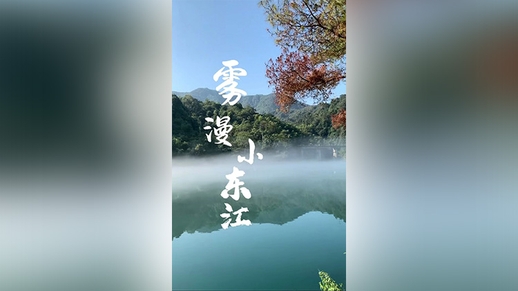 有片丨打卡霧漫小東江