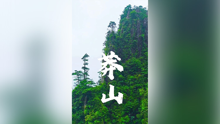有片丨打卡湘粵邊界的莽山