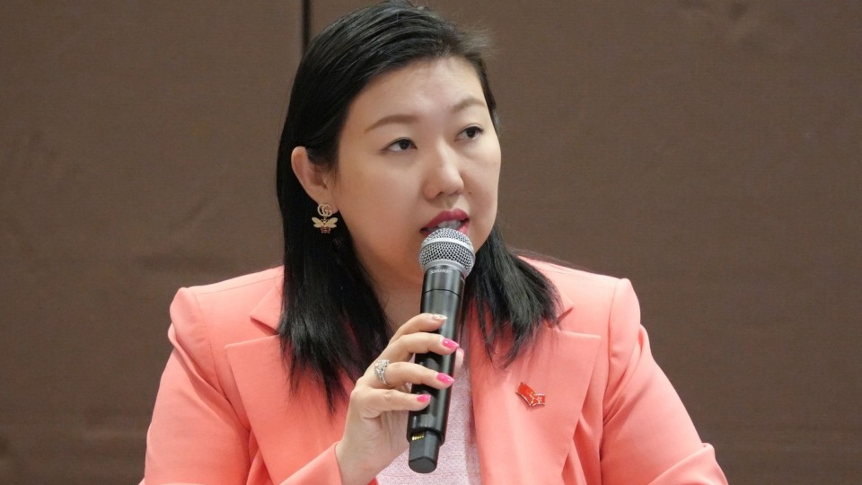 林琳譴責外部勢力雙重標準