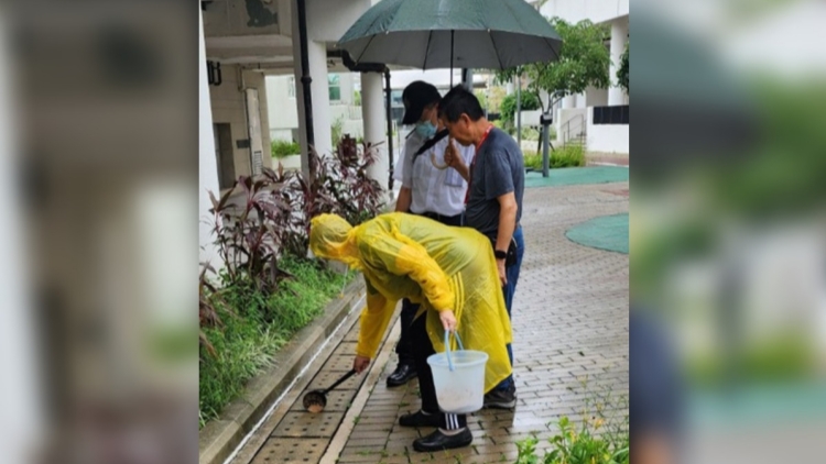 房署邨內加強滅蚊