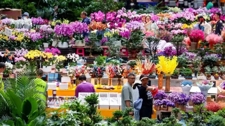 生機盎然的斗南花卉市場