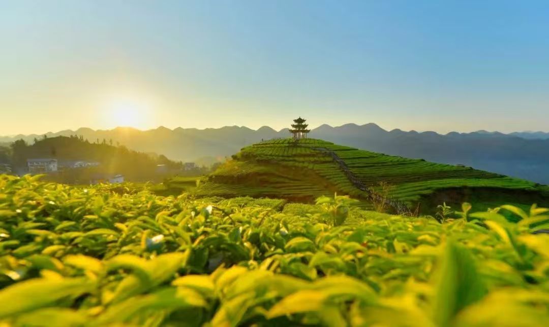 宣恩上半年旅遊收入66億元