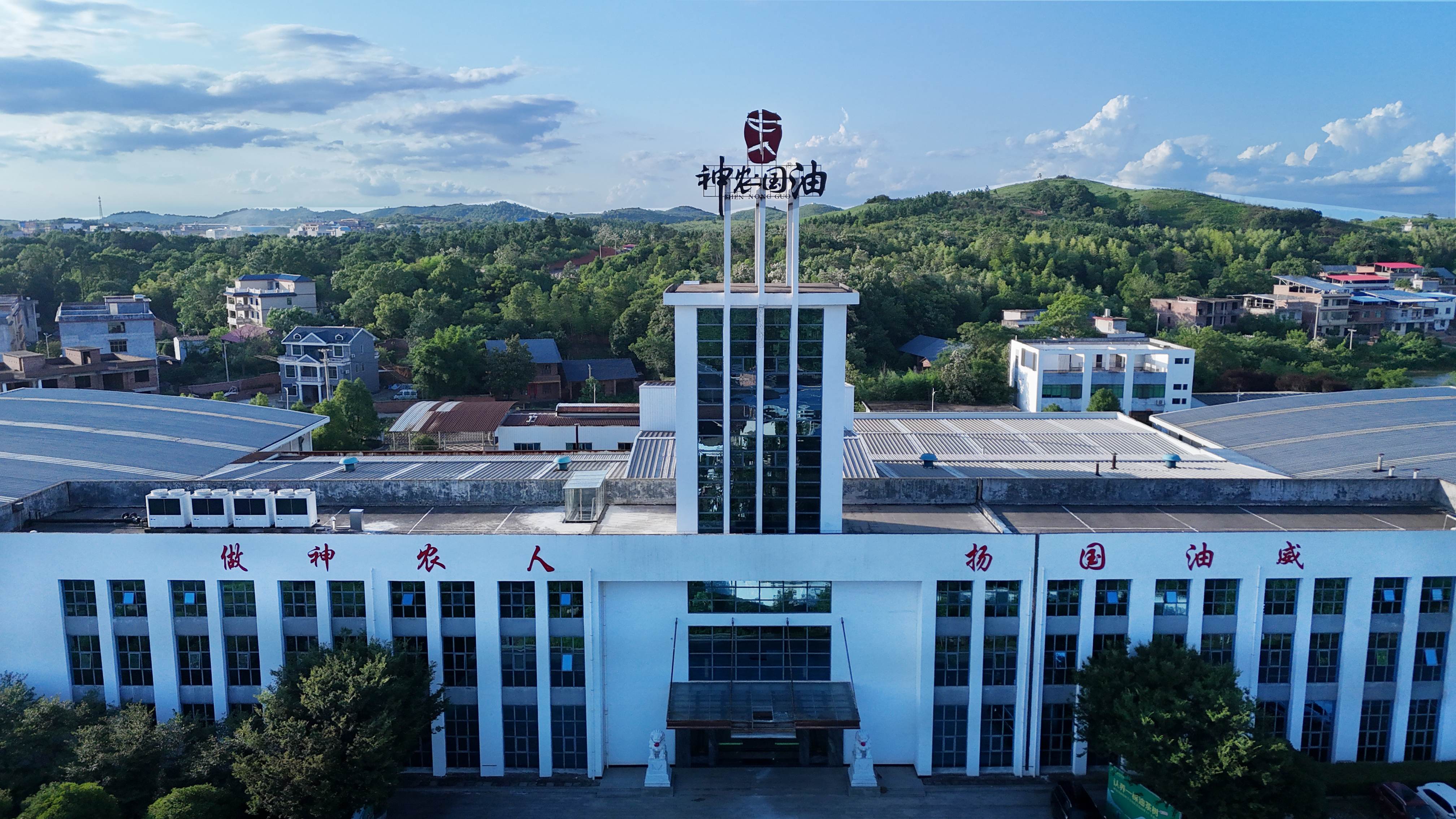 耒陽「綠色魔法秀」：油茶開啟生態富民「狂飆」路