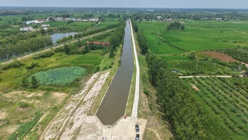 河南息縣：打響165萬畝秋糧保衛戰 干群合力抗旱保豐收