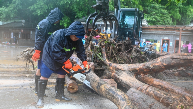 國家防減救災委對廣東啟動國家四級救災應急響應