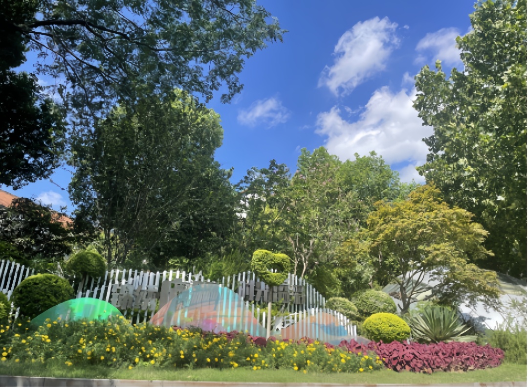 合肥廬陽：以「繡花」功夫打磨城市細節