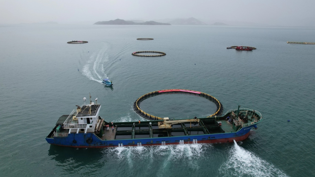 10月1日起施行！汕尾「藍色糧倉」由它守護