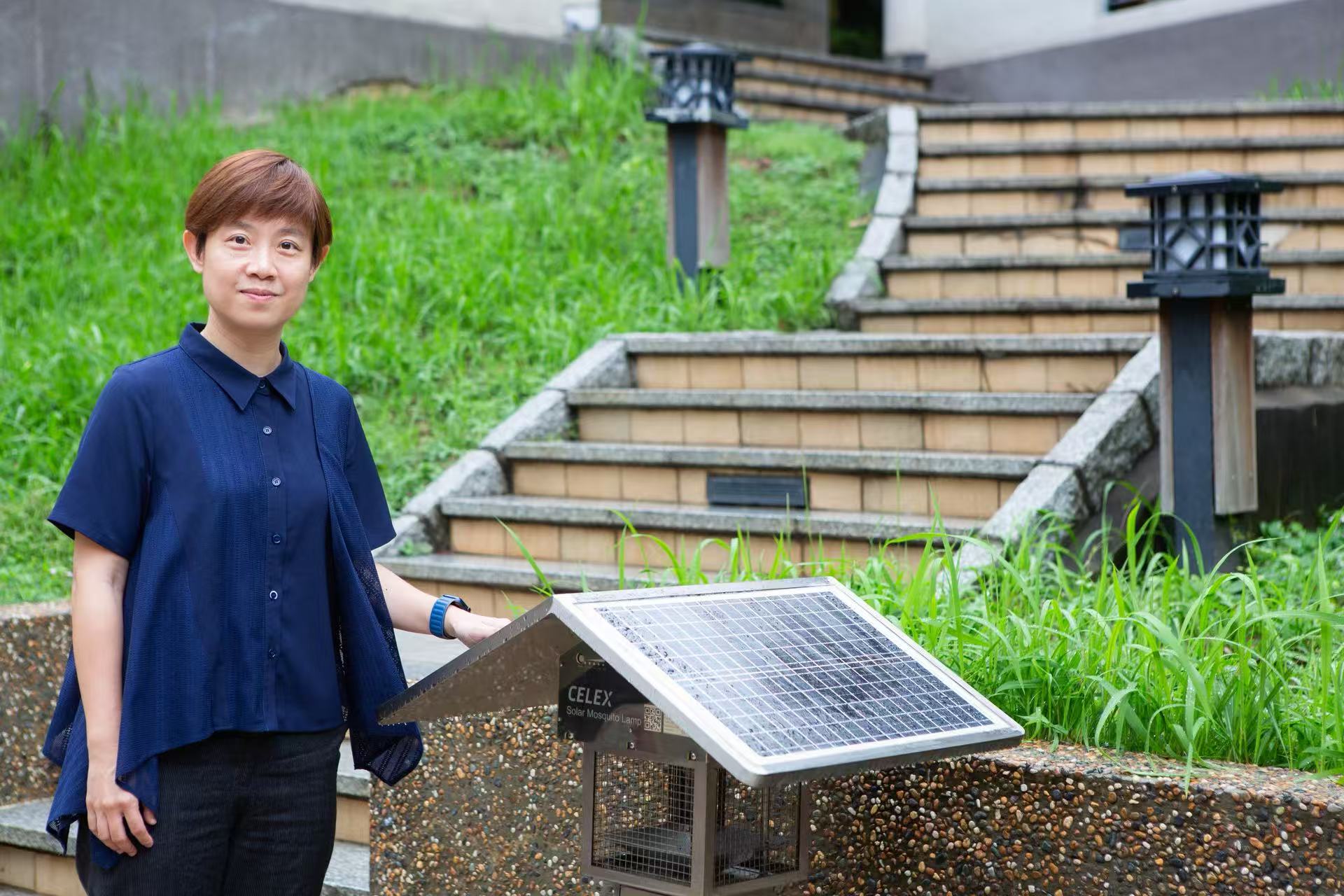 助防基孔肯雅熱 嶺大首創蚊患預報系統