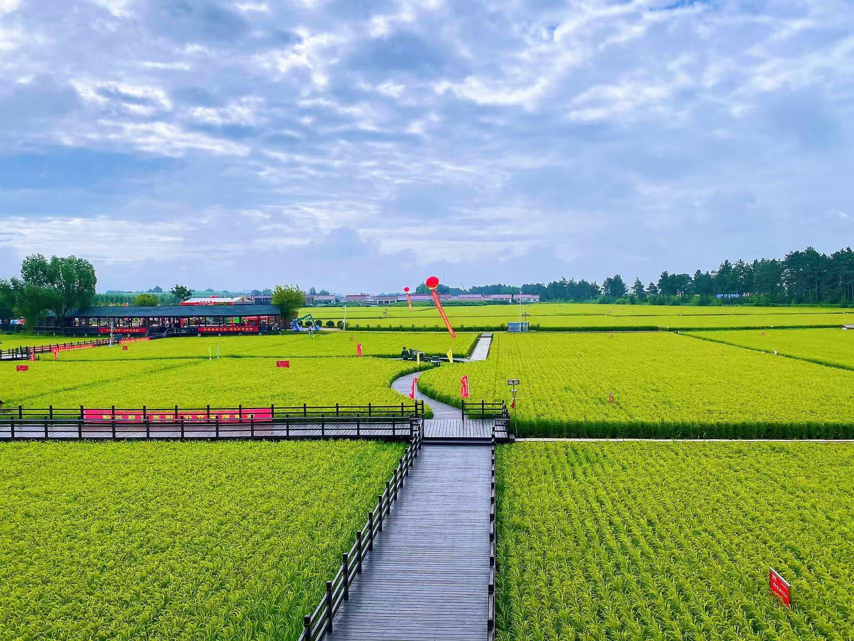 有片｜喬府大院第十屆稻花節啟幕 以米為筆書寫五常三產融合新篇章