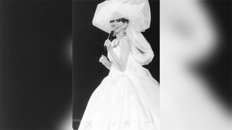 梅艷芳故居曝光！複式4房 配大天台