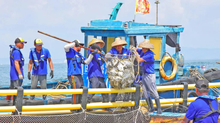 汕尾「藍色糧倉」 10月1日新規護航