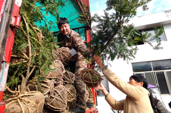 皖休寧縣：踐行「兩山論」 守護新安綠