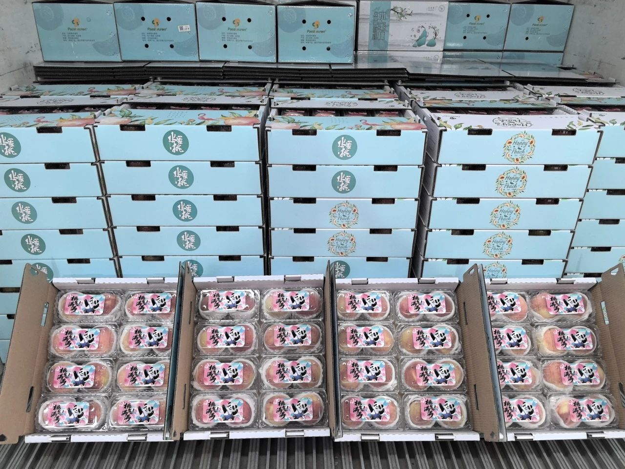 川果供港刷新時效紀錄 龍泉驛水蜜桃48小時抵港