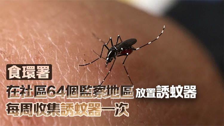 8月白紋伊蚊誘蚊器指數：屯門掃管笏最高達16.4%
