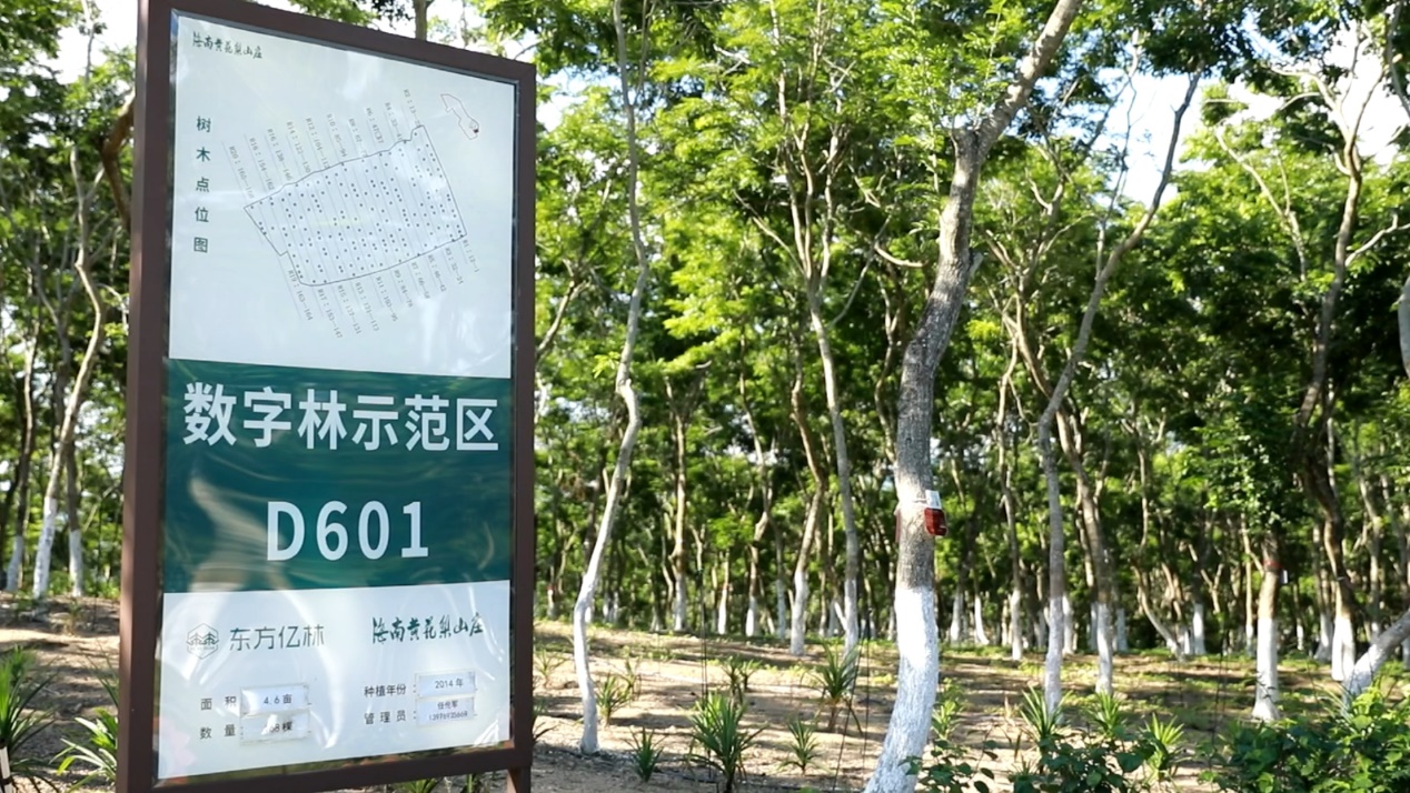 香港上市公司洪橋集團與海南東方億林簽署戰略合作備忘錄，擬發行RWA通證