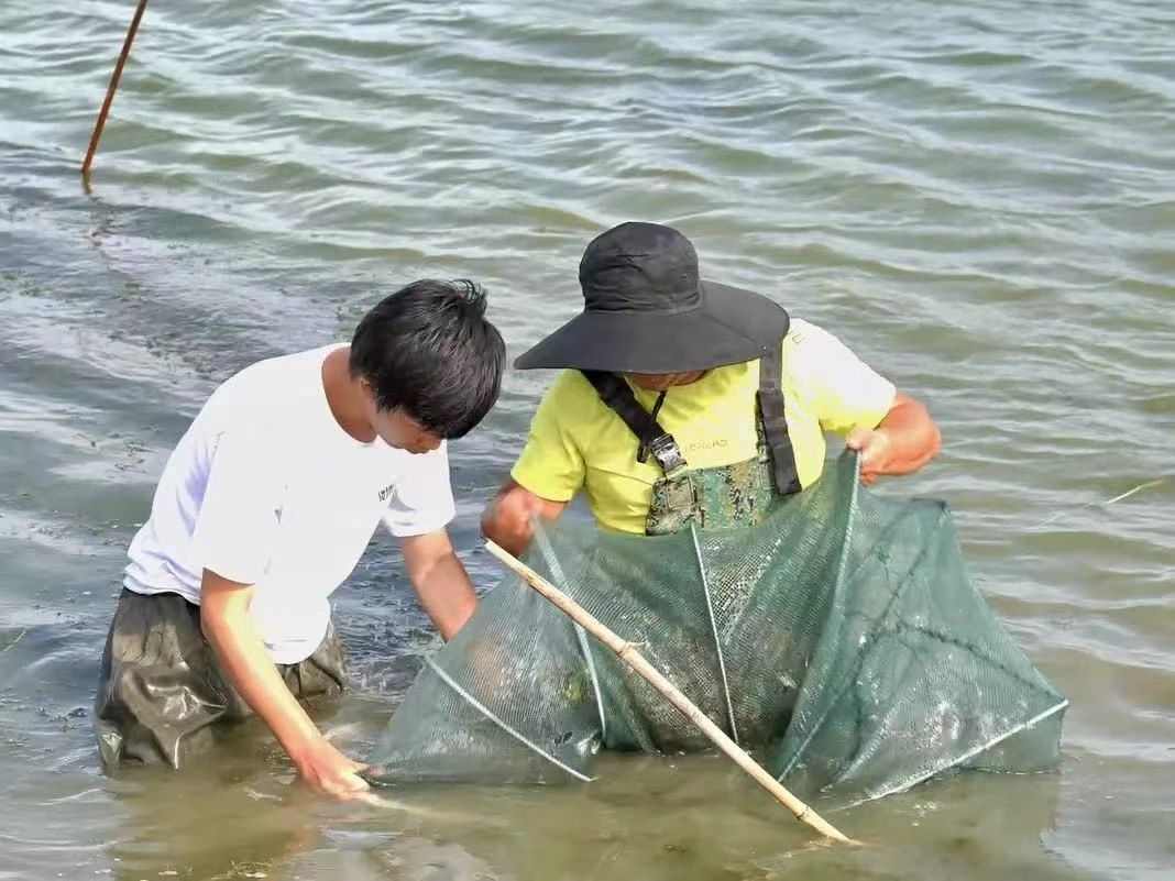 探索「海鮮陸養」新模式  南美白對蝦在黑龍江寶清「安家」
