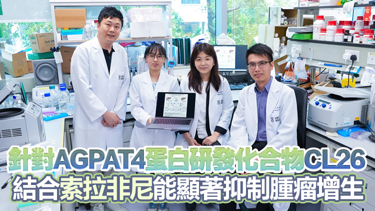 港大醫學院識別肝癌抗藥性關鍵蛋白 研發抑制劑增強治療效果及防止復發