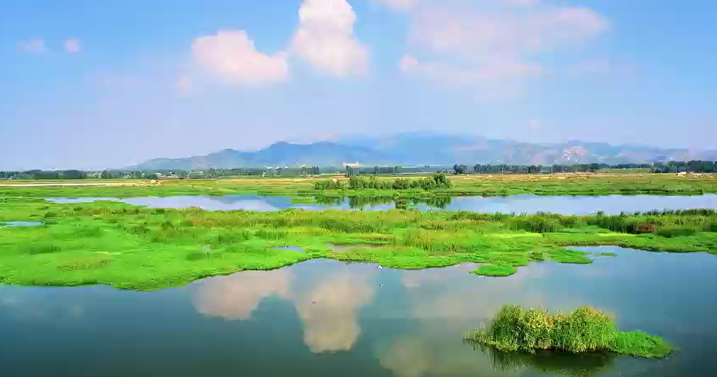 【視聽山東】節氣里的岱嶽之夏季篇