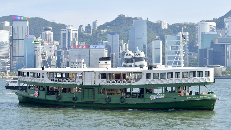 有片丨大熊貓主題小輪穿梭維港 慶祝大熊貓龍鳳胎一歲生日