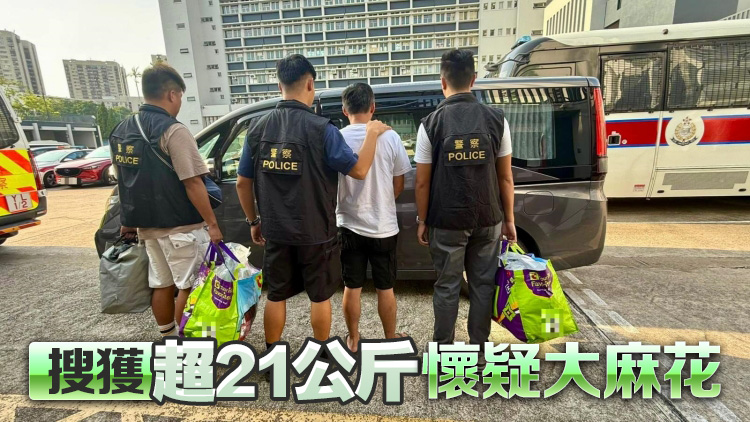 警方元朗反毒品行動 拘一男檢310萬元大麻花