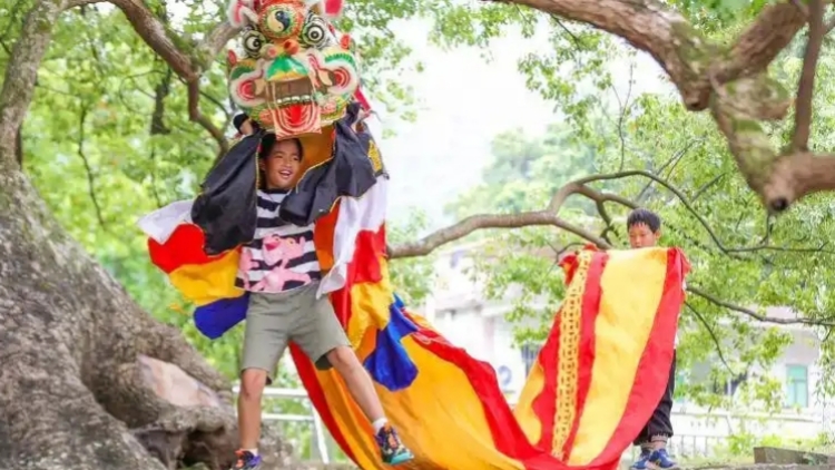 深圳南澳「西貢舞麒麟」 躍升區級非遺