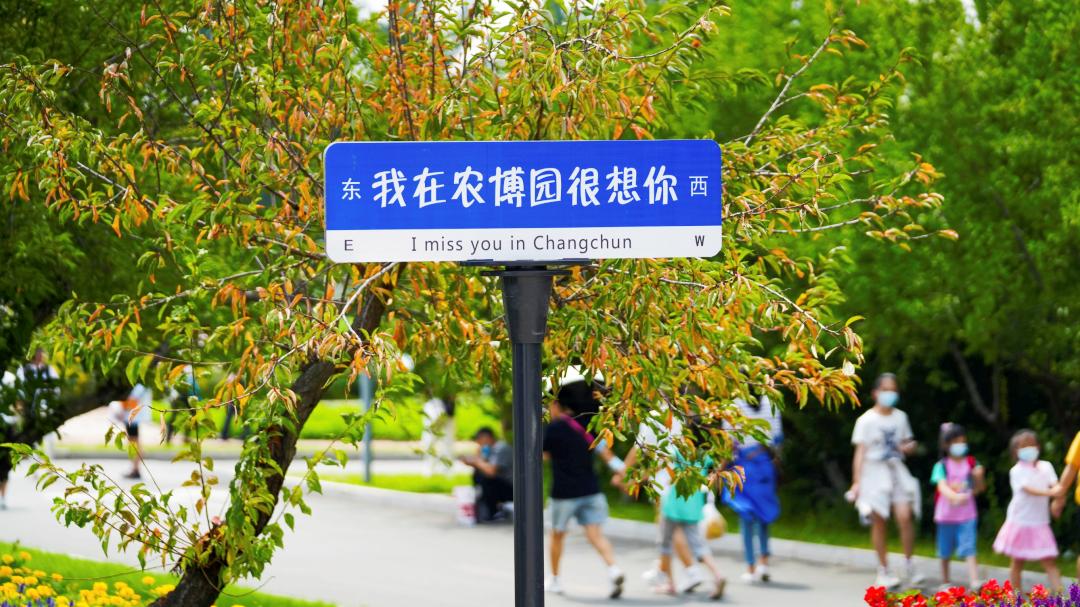 吉品東南飛：長春農博會跨境直播啟航