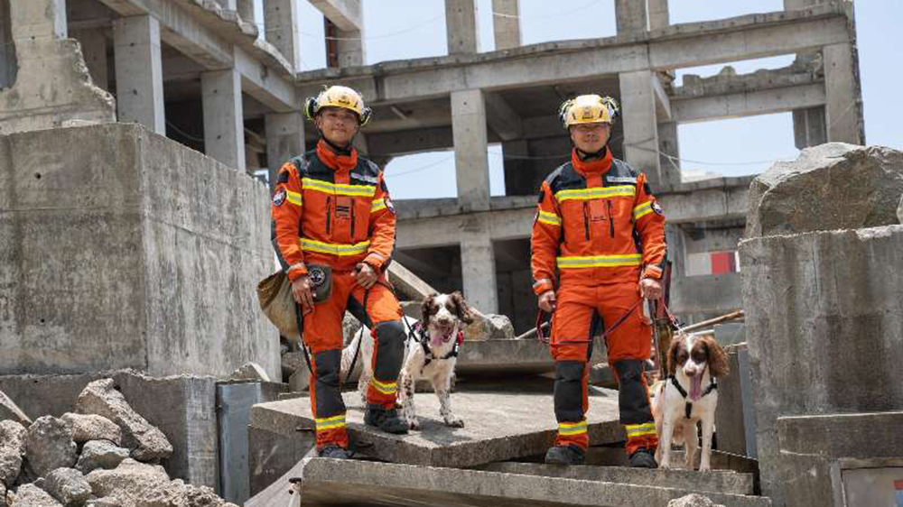 有片｜消防犬與領犬員合作無間 獲行政長官表揚榜嘉許
