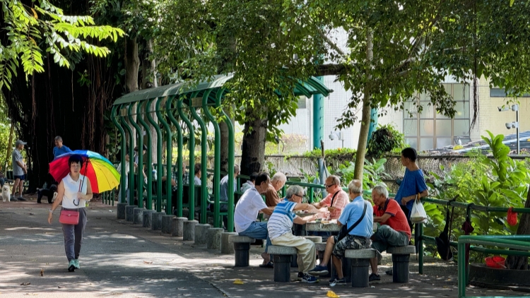 譚鎮國：構建多層次保障網 避免長者失救悲劇