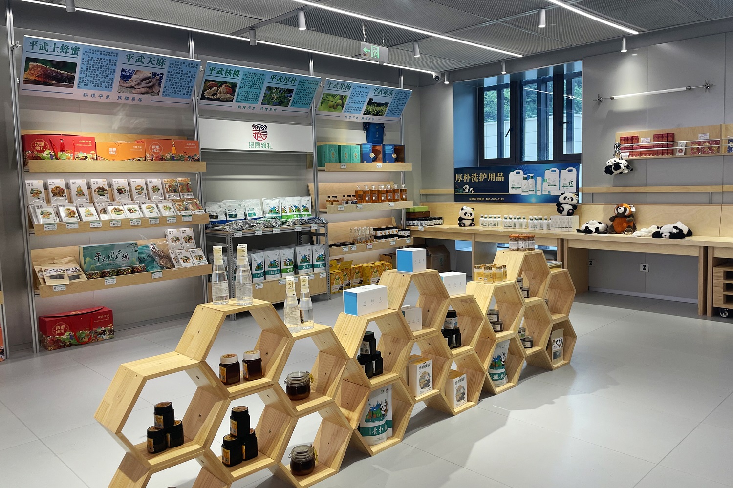 從「賣原料」到「賣產品」  四川平武厚朴解鎖產業新價值