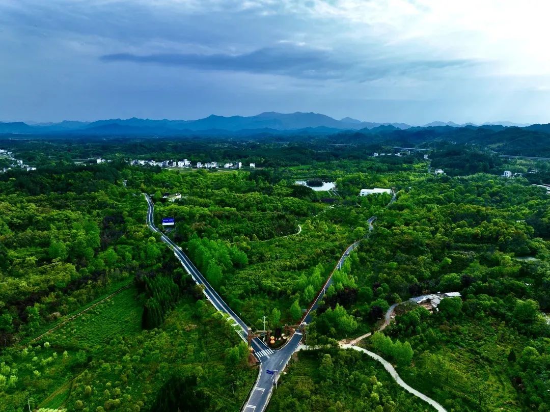 皖屯溪奕棋鎮：「兩長」融合帶動多元共治