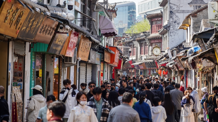 審計曝光！兩市向505名死亡人員發放養老保險待遇241.48萬元