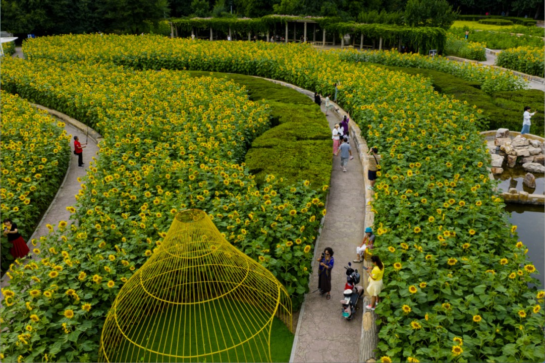 節氣專稿丨陳耀輝：處暑