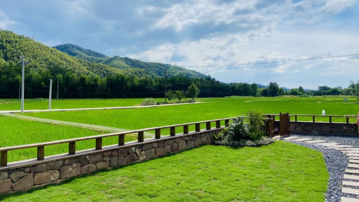 皖黟縣漁亭鎮：科技服務到田間 水稻種植「有靠山」