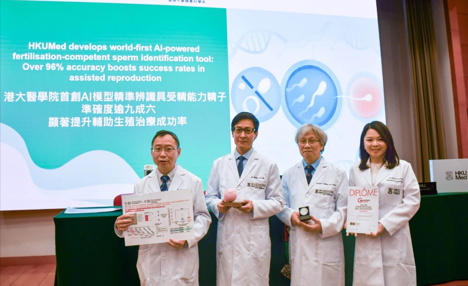 港大醫學院首創AI模型 精準辨識具受精能力精子 準確度逾九成六 