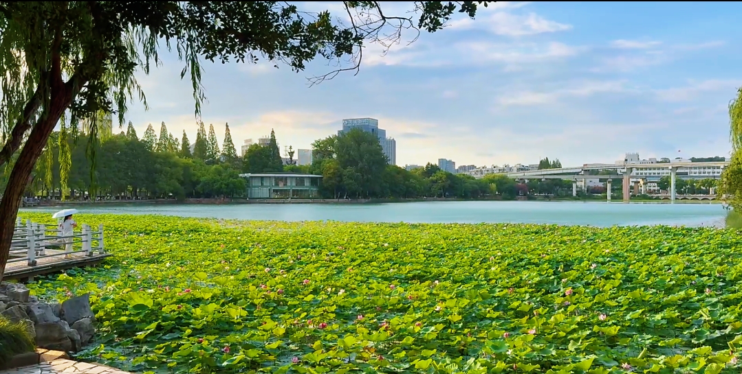 蕪湖：市委書記掛帥 打響生態環境保衛戰