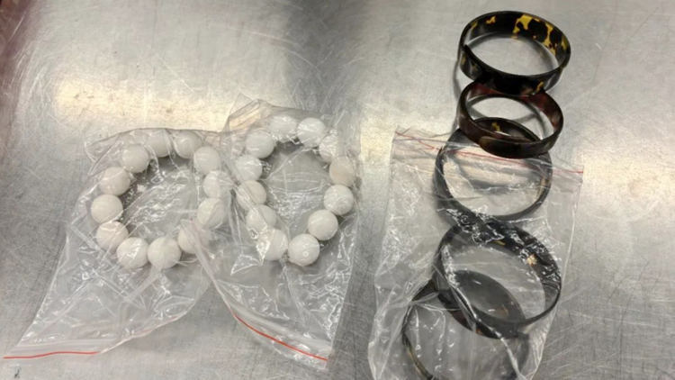 皇崗旅客攜玳瑁硨磲手串闖關 涉瀕危野生動植物進出口管理條例