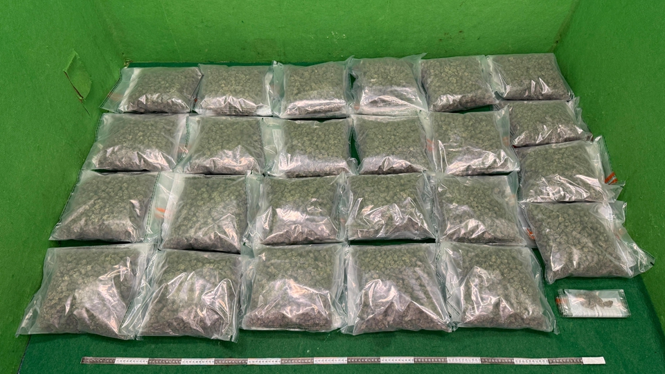 海關機場偵破2宗旅客販毒案 拘捕2名男子 檢值560萬元大麻花