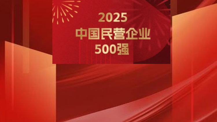 2025民營企業500強揭曉：京東、阿里巴巴、恒力排前三