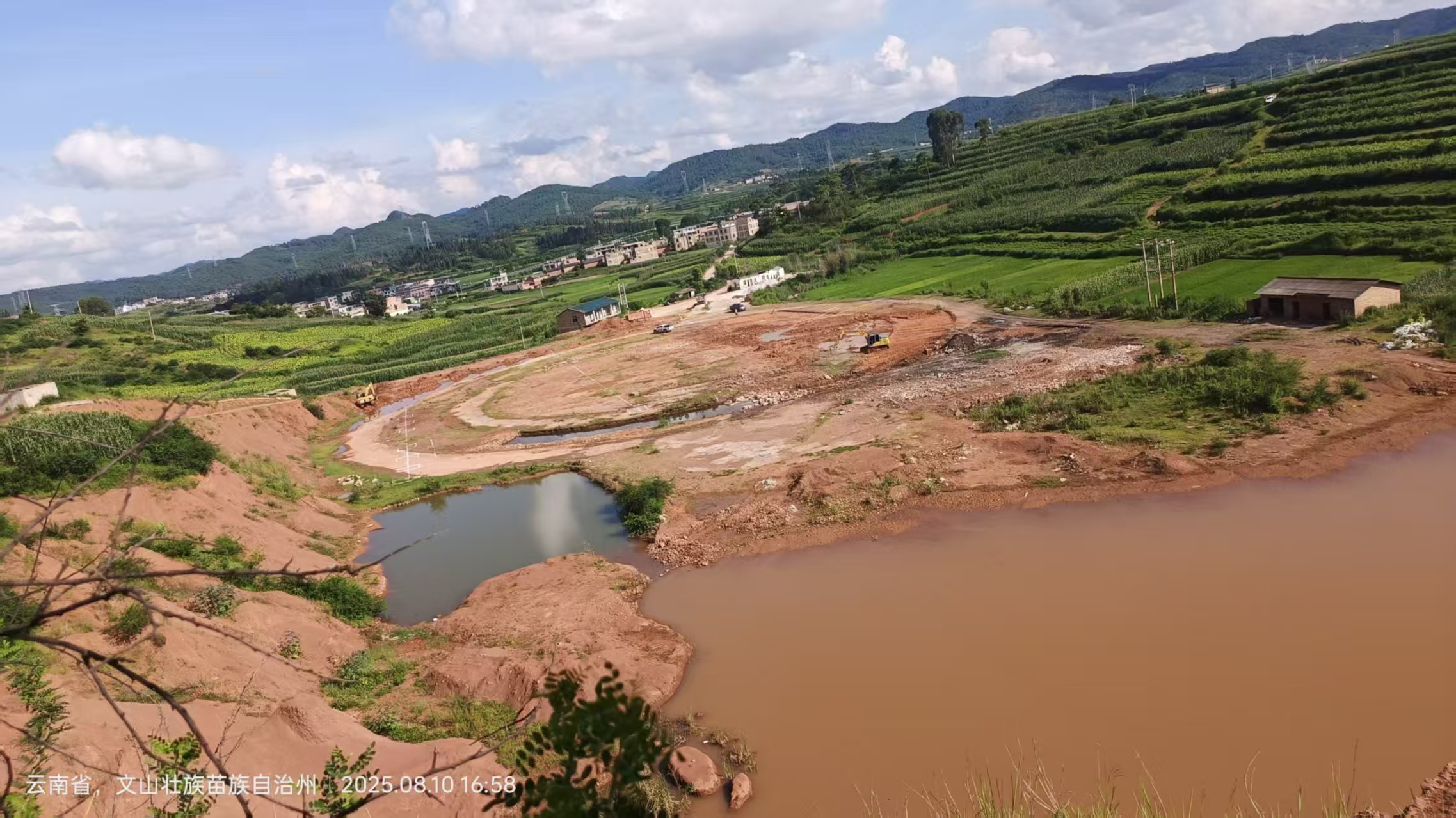 文山天媛生物科技有限公司 艾草產業蓬勃發展，引領鄉村振興新潮流