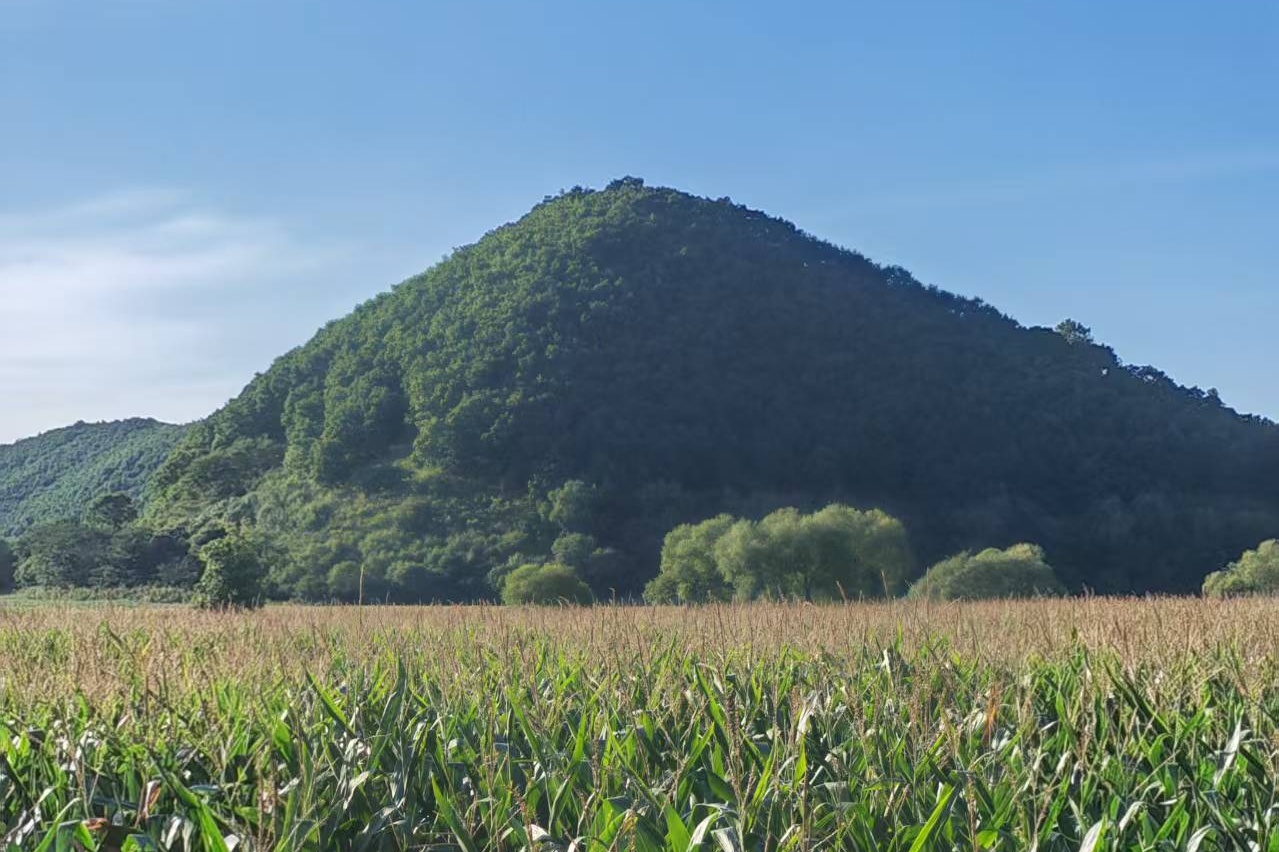 十二烈士山：青山埋忠骨 英魂鑄豐碑