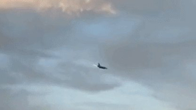 有片 | 一架F-16戰鬥機在波蘭墜毀 飛行員遇難 現場視頻曝光