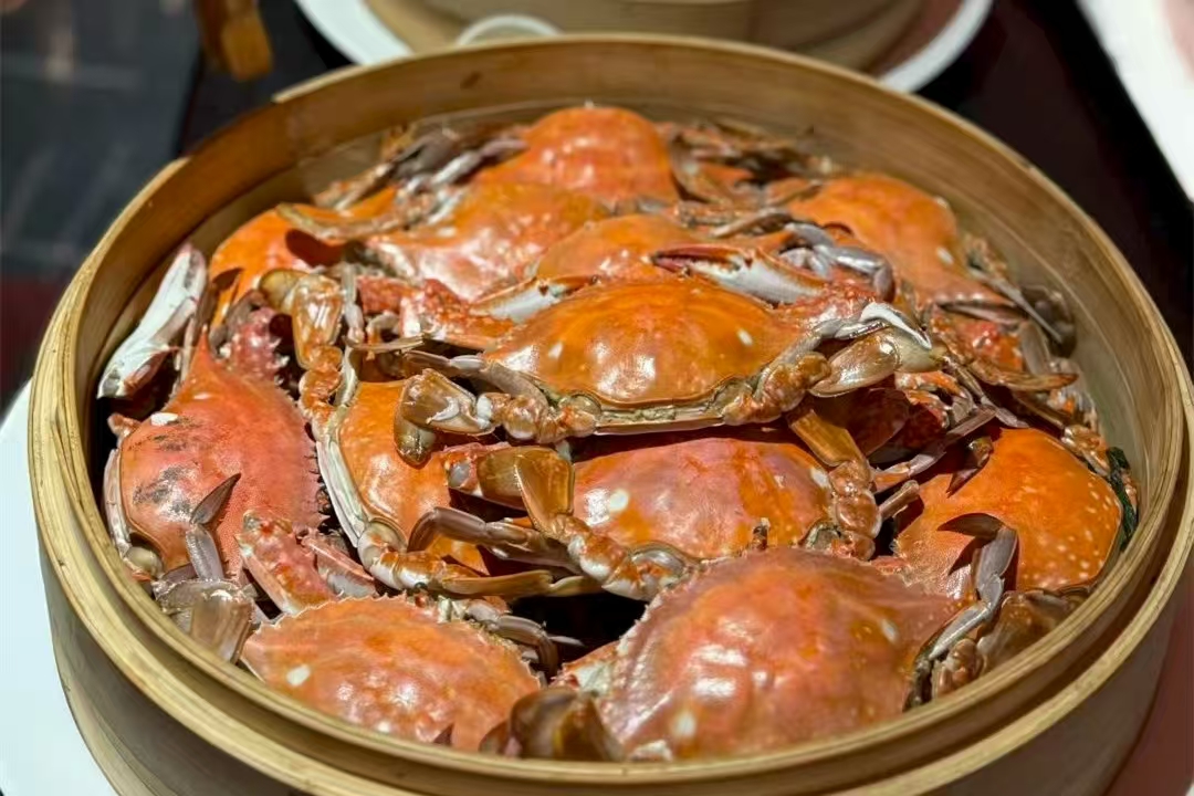 有片丨江蘇如東海鮮「出圈」的三味密碼