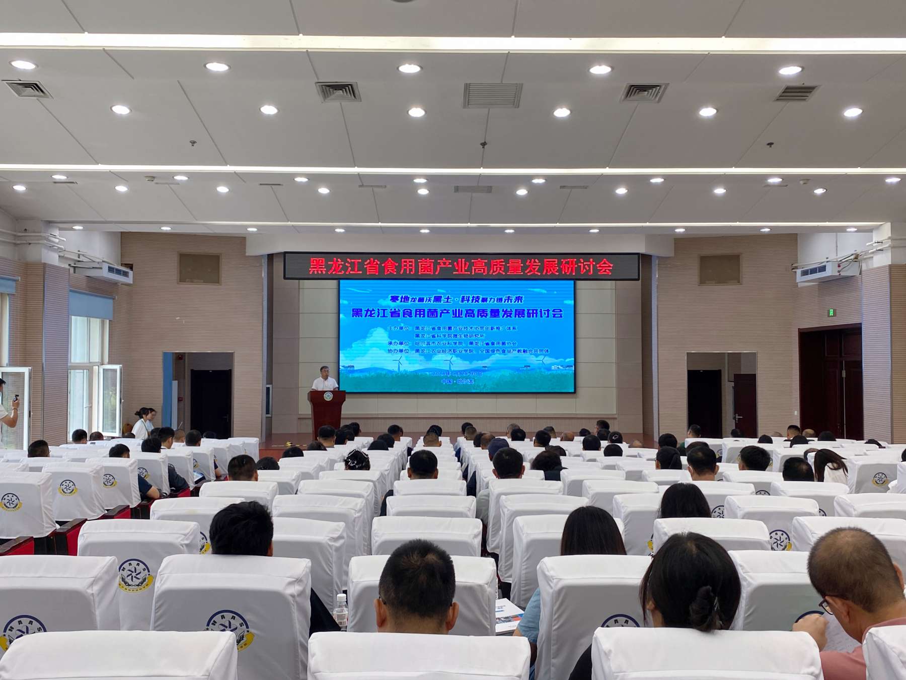 2025年黑龍江省食用菌產業高質量發展研討會在哈召開 共探「寒地龍菌」未來