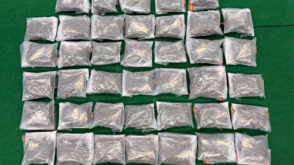 海關機場檢逾30公斤大麻花 市值700萬元 拘捕2名男子