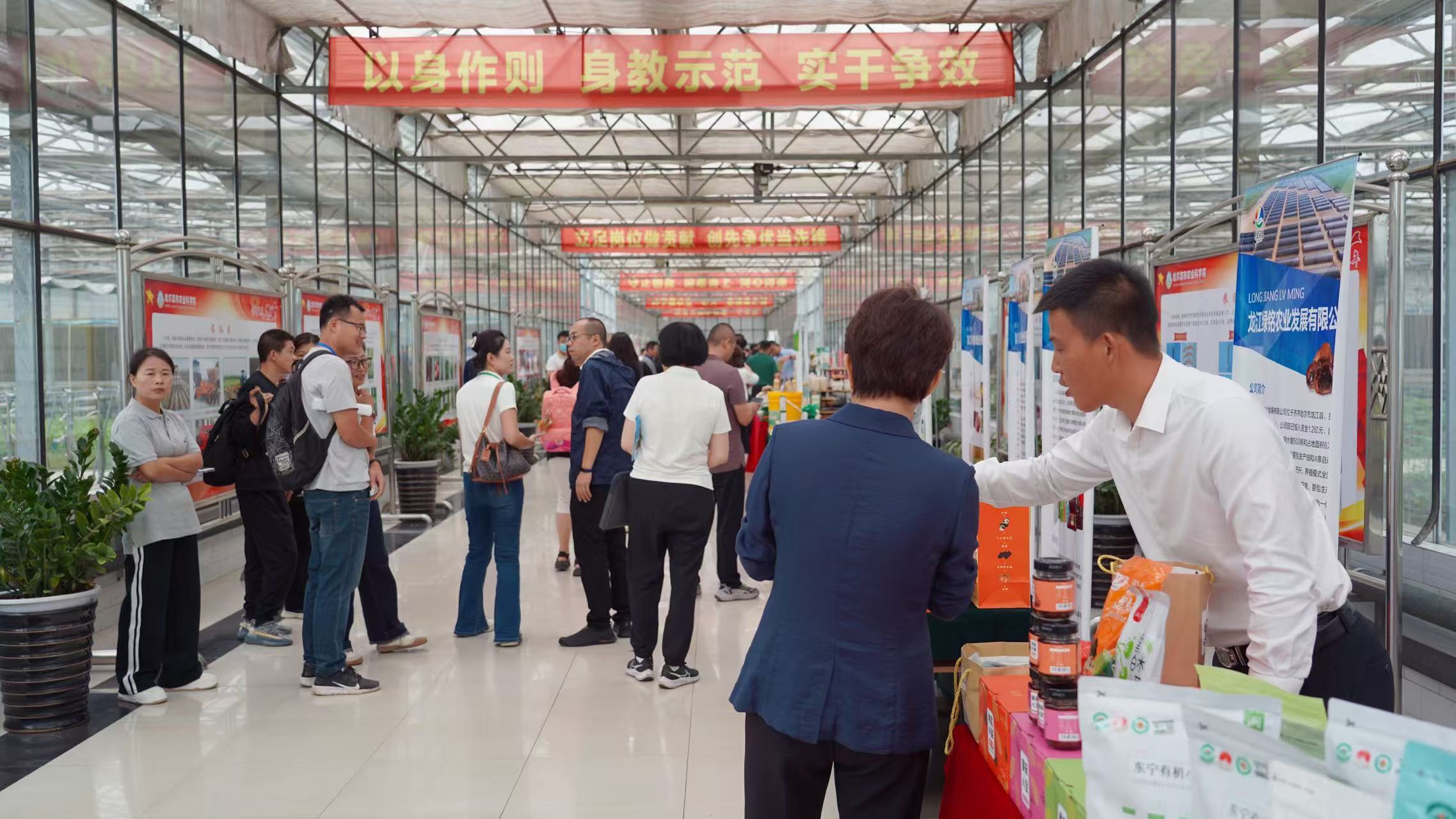 有片｜黑龍江省食用菌產業高質量發展研討會召開 多維環節讓企業「滿載而歸」